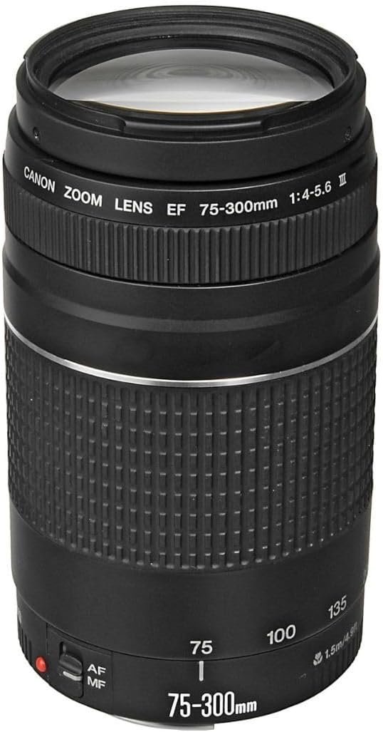 Canon EF 75-300mm f/4-5.6 III Telephoto Zoom Lens: Features, Uses, and What to Know